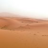 Morocco, Sahara, desert, camel